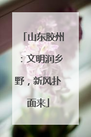 山东胶州：文明润乡野，新风扑面来